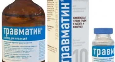Травматин: как и къде да намушкам котка?